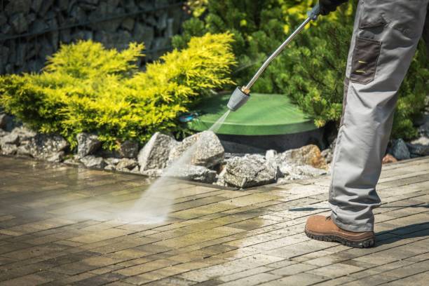 Best Solar Panel Cleaning  in Strodes Mills, PA